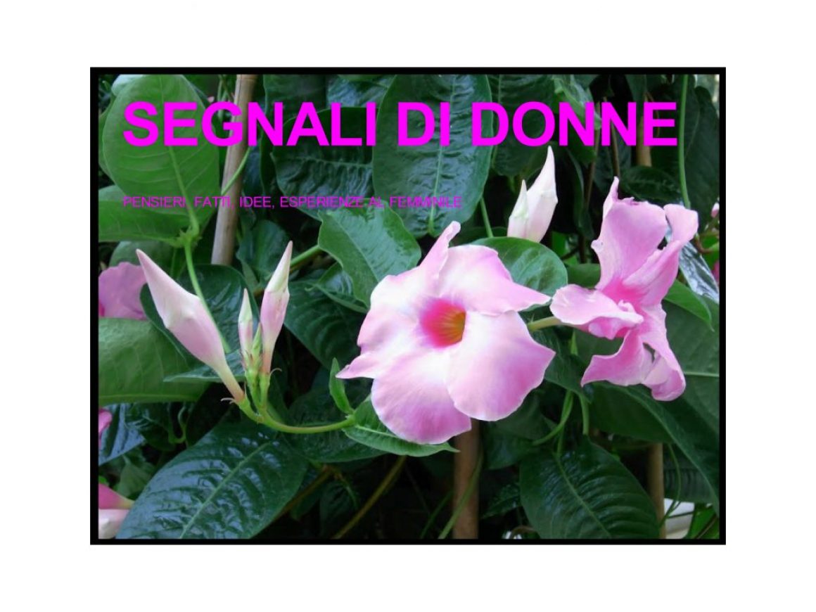 donne.1