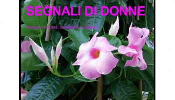 donne.1