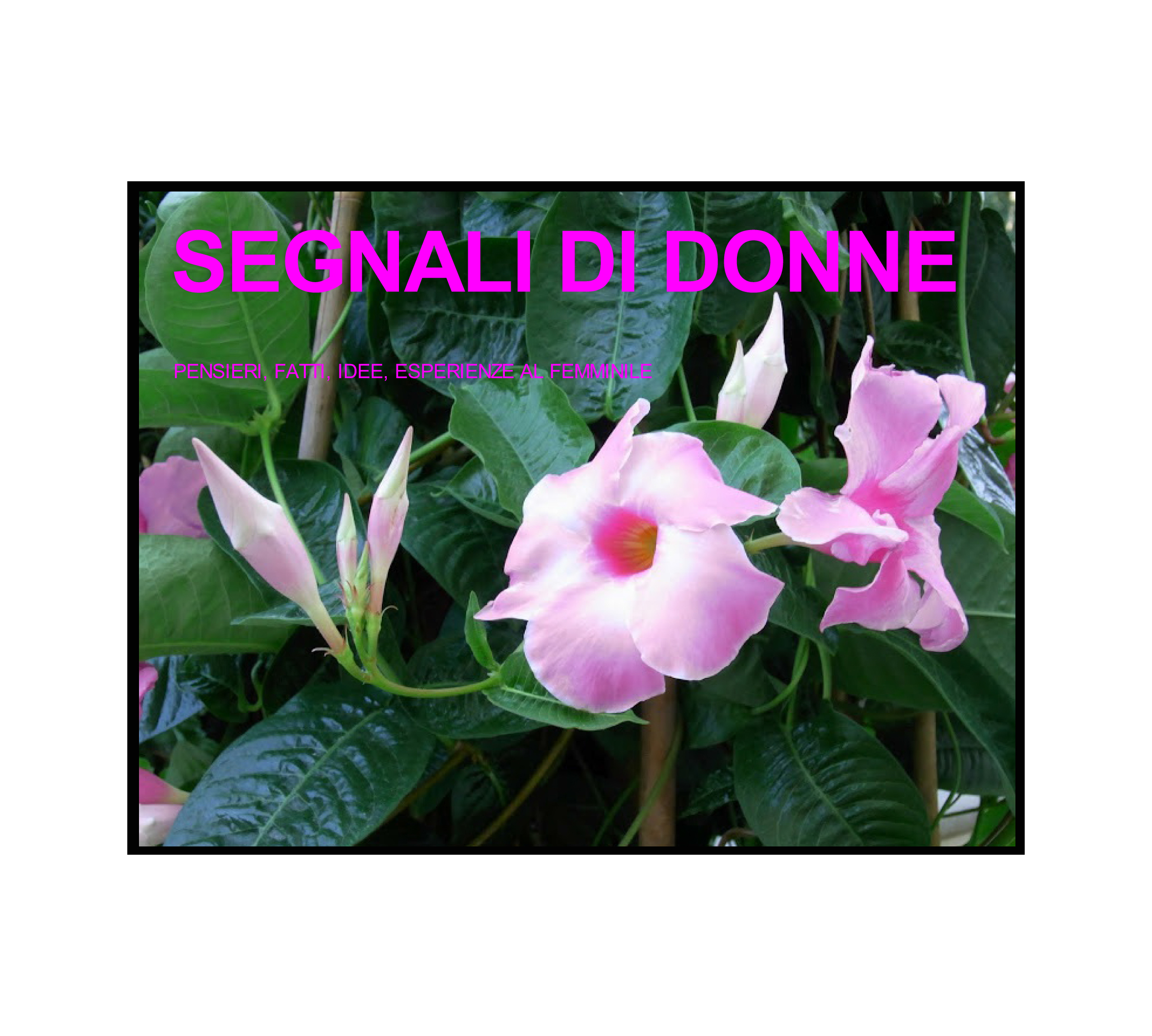 donne.1