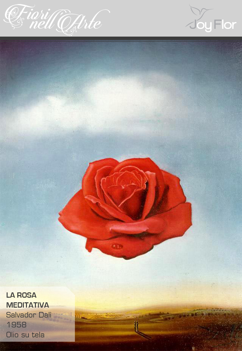 dali-la-rosa-meditativa